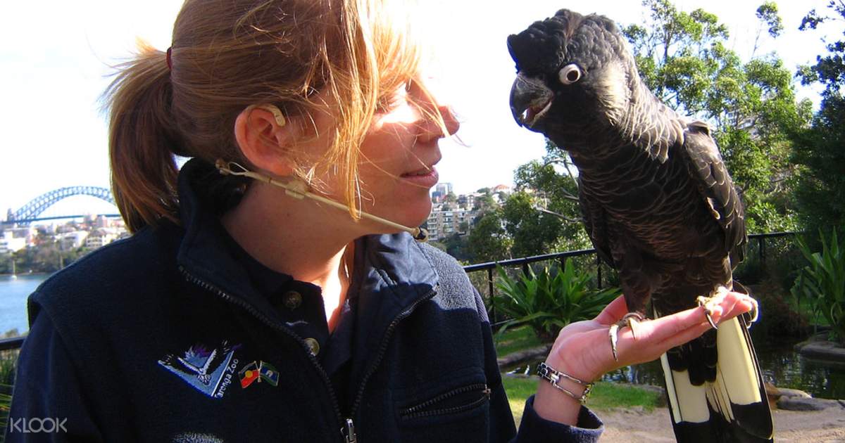 voucher k code swiss Klook Zoo Entry Ticket Taronga voucher k code swiss Klook Zoo Entry Ticket Taronga